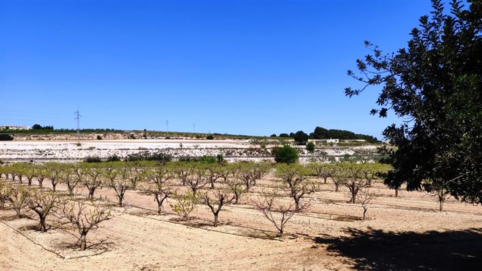 Image No.10-Country House for sale