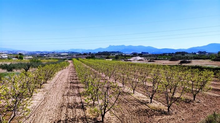 Image No.3-Country House for sale