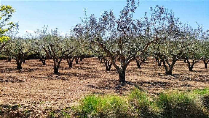 Image No.5-Country House for sale