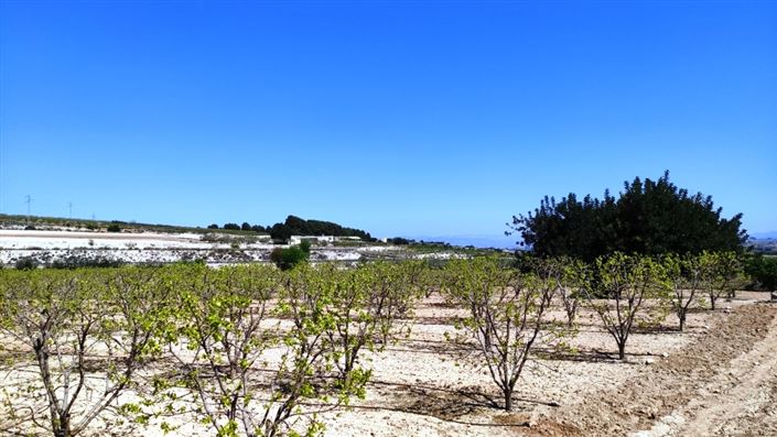 Image No.7-Country House for sale