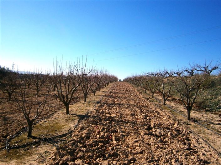 Image No.5-Country House for sale