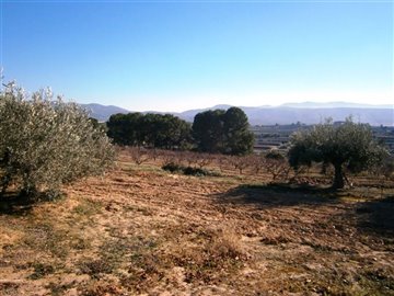 o1cvfvoent1c6f17uu1bkdqmj1g291k