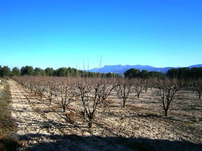 Image No.8-Country House for sale