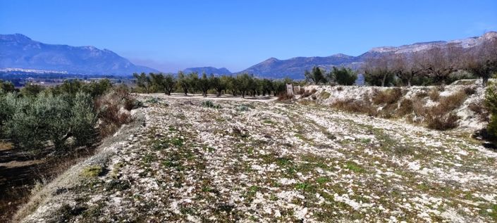 Image No.10-Property for sale