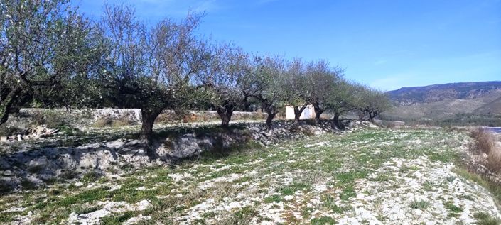 Image No.5-Property for sale