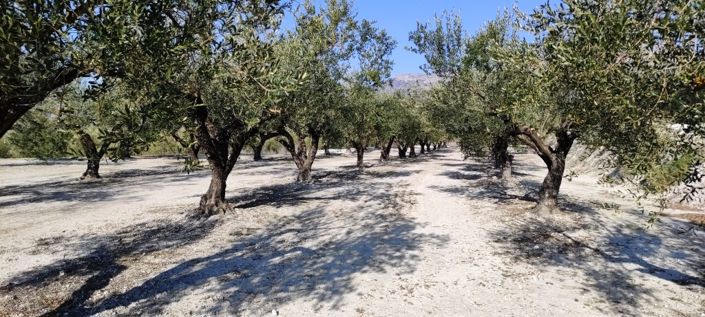 Image No.6-Property for sale