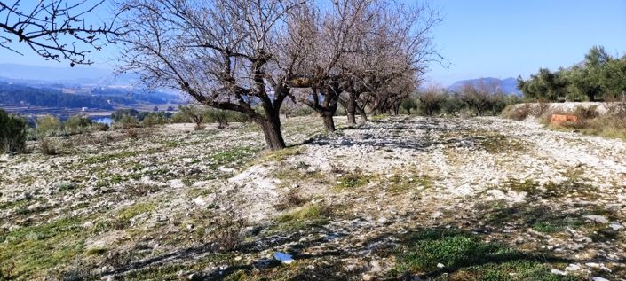 Image No.8-Property for sale