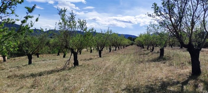 Image No.2-Property for sale