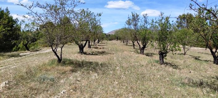 Image No.4-Property for sale