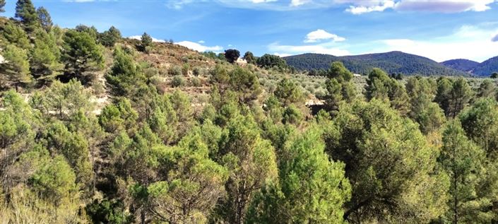 Image No.9-Property for sale