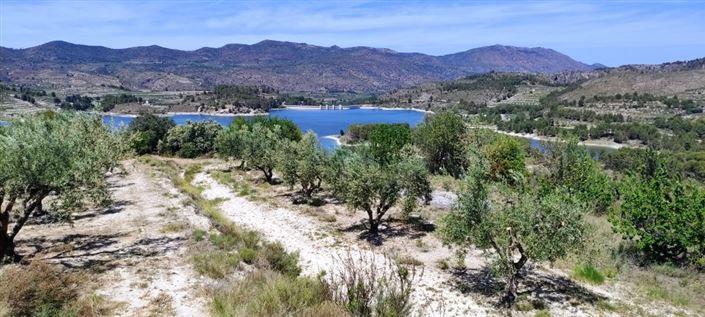 Image No.2-Property for sale