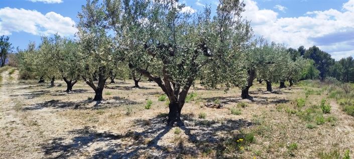 Image No.10-Property for sale