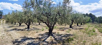 o1h079k53815qn11t8pq361u17pb25