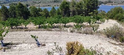 o1h079k5381fhvguo14cjh7414ri20