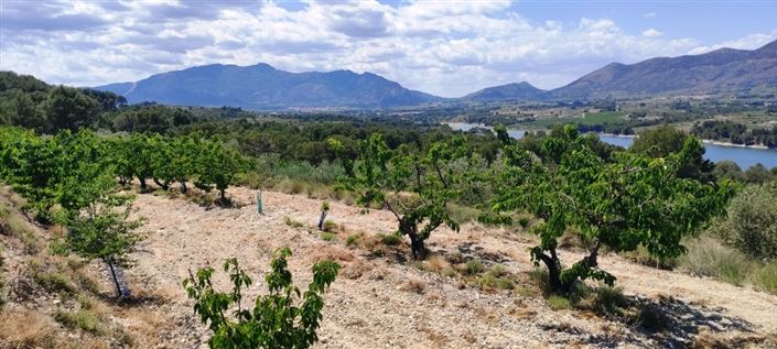 Image No.5-Property for sale