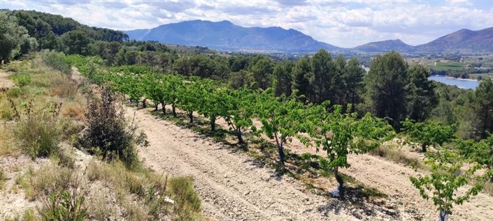 Image No.6-Property for sale