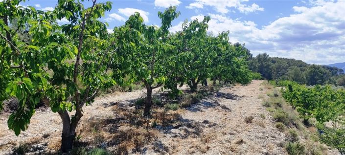 Image No.7-Property for sale