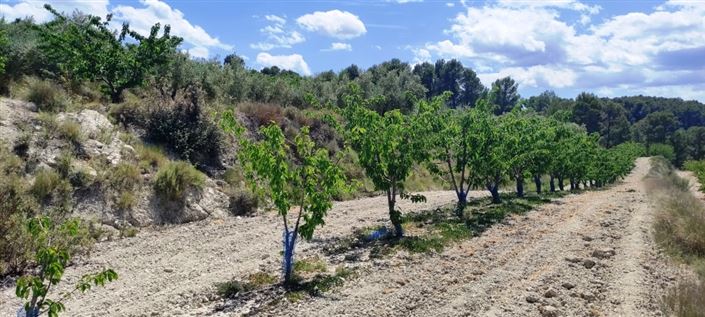 Image No.8-Property for sale