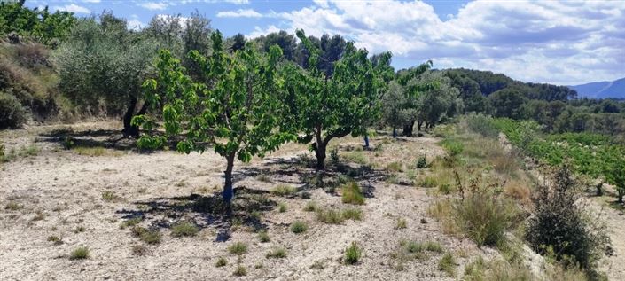 Image No.9-Property for sale