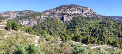 o1h6tm84fc6p2iie1u6m17a0p0k31