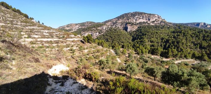 Image No.9-Country House for sale