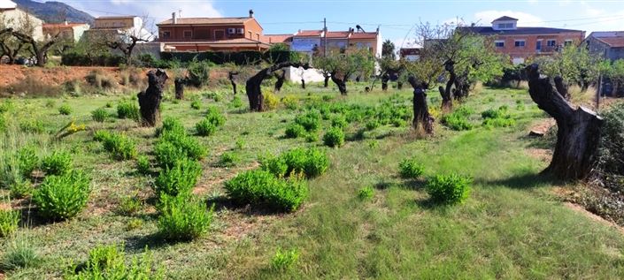 Image No.2-Property for sale