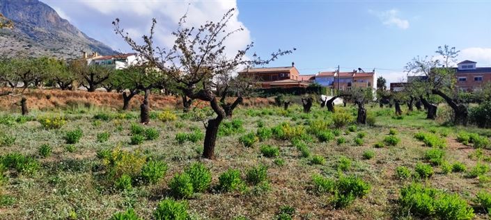 Image No.4-Property for sale