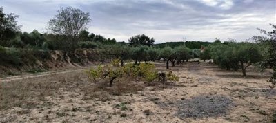 o1he57btc71p76155r18je1mu013dg1r