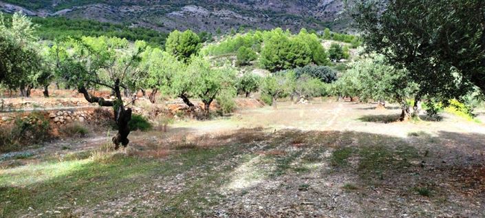 Image No.7-Country House for sale