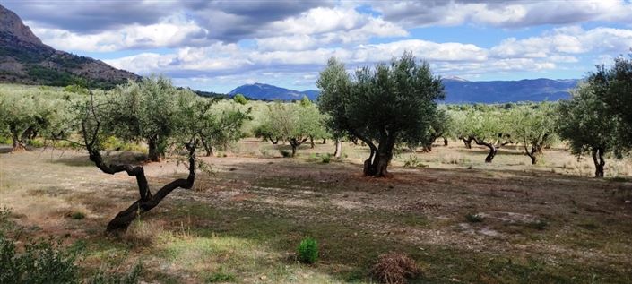 Image No.9-Country House for sale