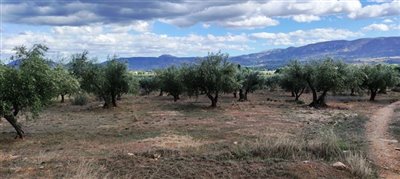 o1he521g8g1tq8aft1a8k1tvl1dh42s