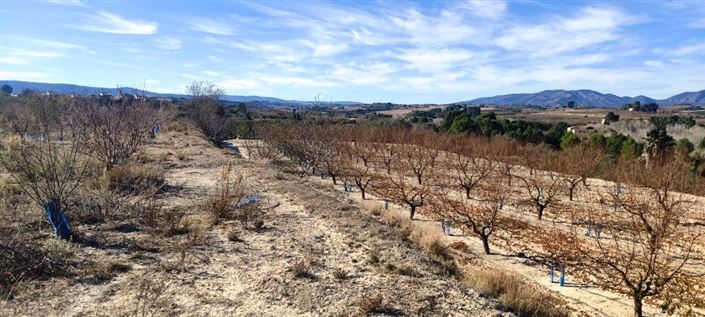 Image No.3-Property for sale