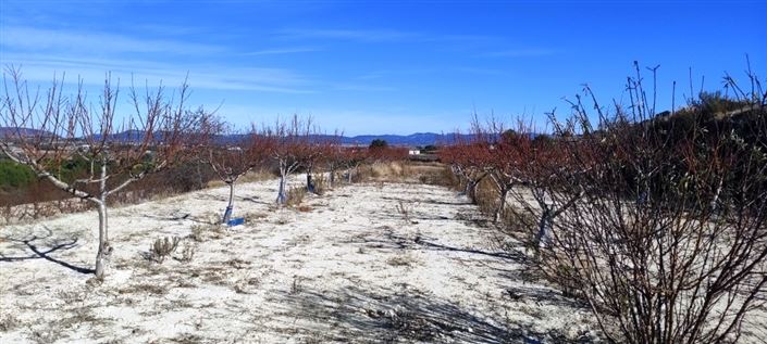 Image No.4-Property for sale