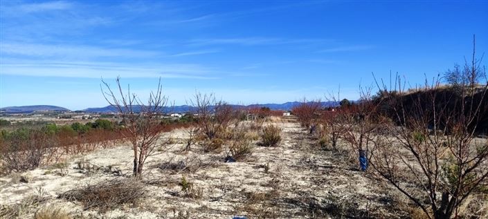 Image No.5-Property for sale