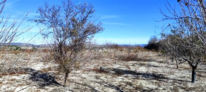 Image No.6-Property for sale