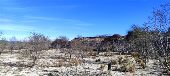 Image No.7-Property for sale