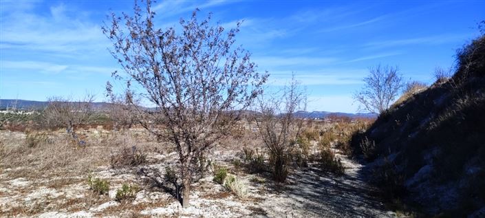 Image No.8-Property for sale