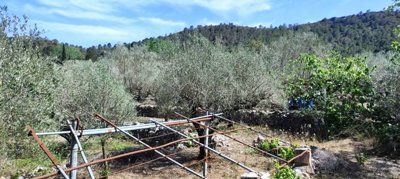 o1hvkn8sc23p6brd18a51gva1o0a1p