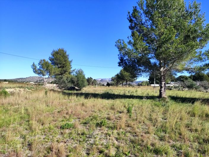 Image No.2-Property for sale