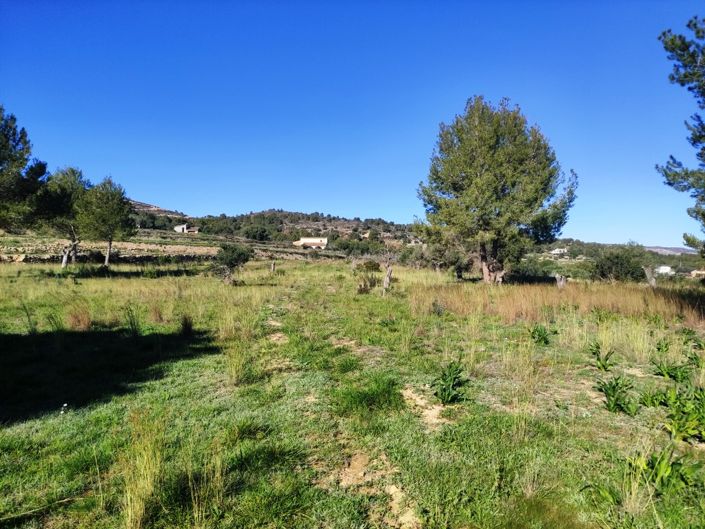 Image No.3-Property for sale