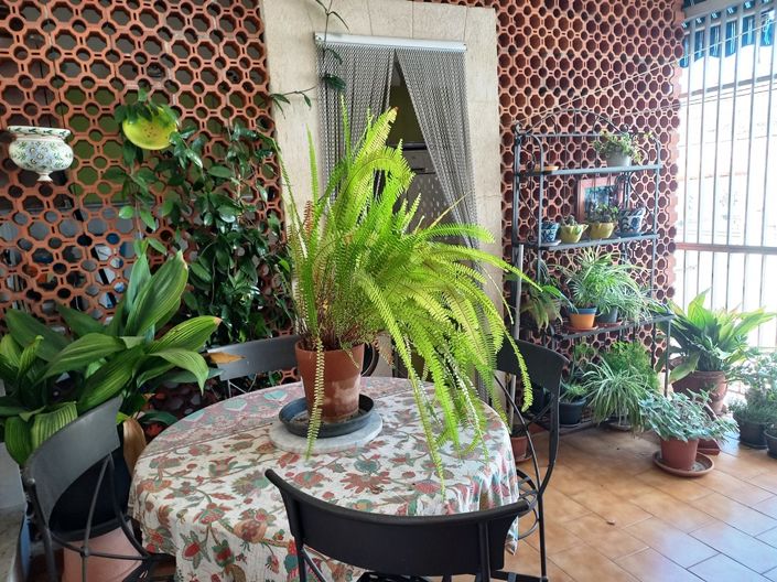 Image No.3-5 Bed Apartment for sale