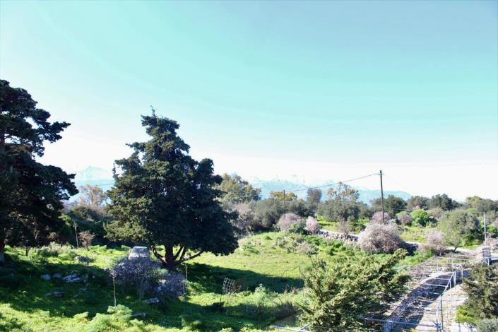 Image No.26-5 Bed Villa for sale