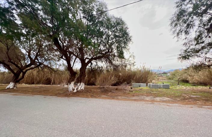 Image No.5-Land for sale