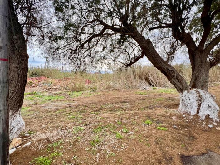 Image No.6-Land for sale