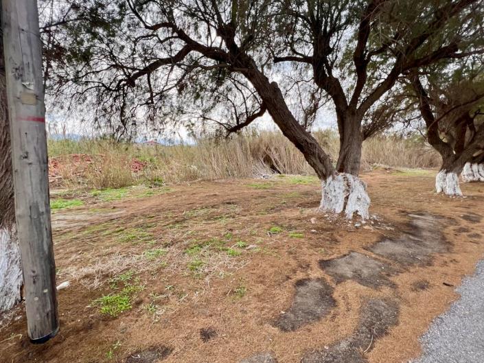 Image No.7-Land for sale