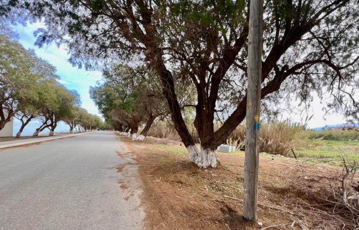 Image No.4-Land for sale