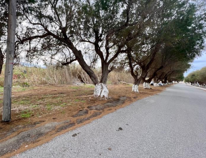 Image No.8-Land for sale