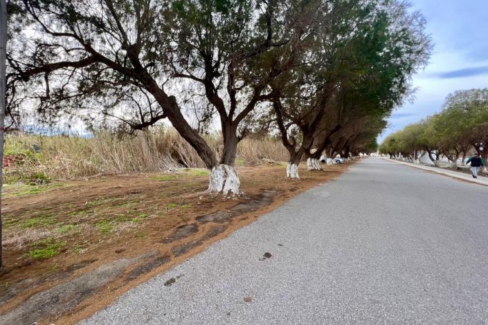 Image No.9-Land for sale