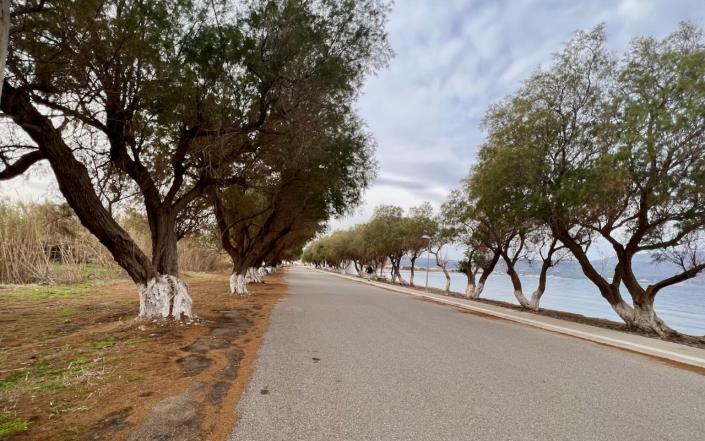 Image No.2-Land for sale