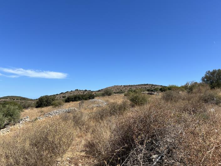 Image No.4-Plot for sale